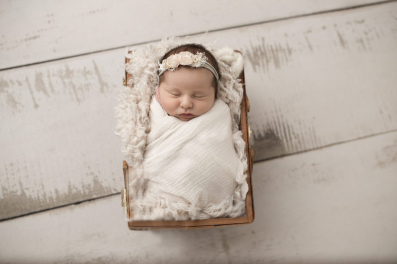 Newborn Photographer Milwaukee
